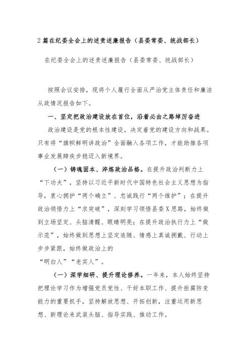 2篇在纪委全会上的述责述廉报告（县委常委、统战部长）.docx