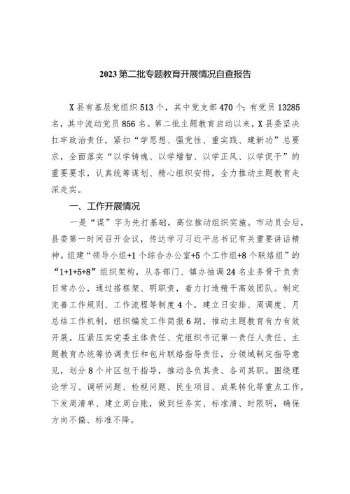 第二批专题教育开展情况自查报告(9篇合集）.docx
