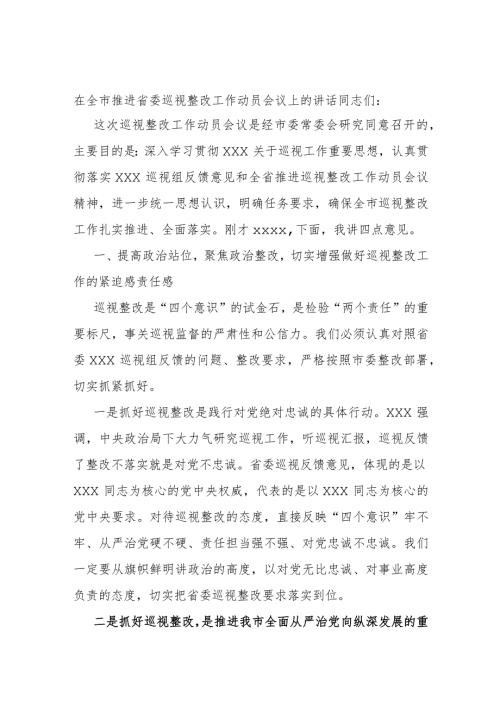 在全市推进省委巡视整改工作动员会议上的讲话.docx