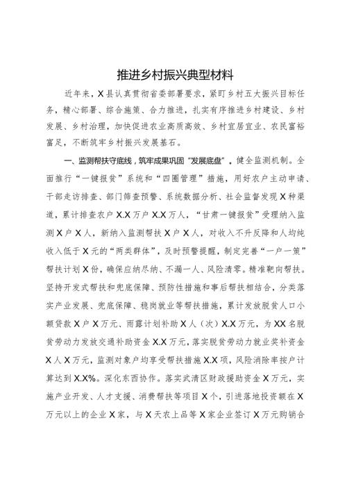 推进乡村振兴典型材料.docx