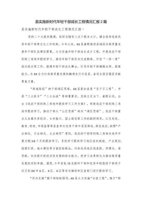 县实施新时代年轻干部成长工程情况汇报2篇.docx