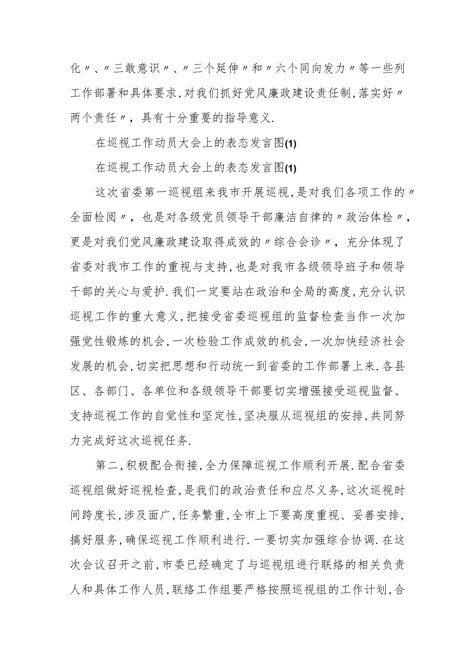在巡视工作动员大会上的表态发言.docx_第2页