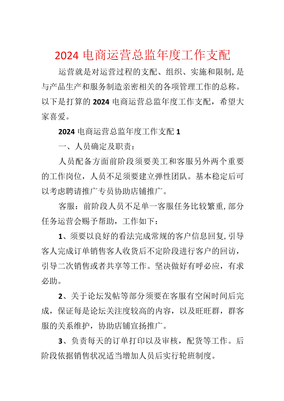 2024电商运营总监工作计划.docx_第1页