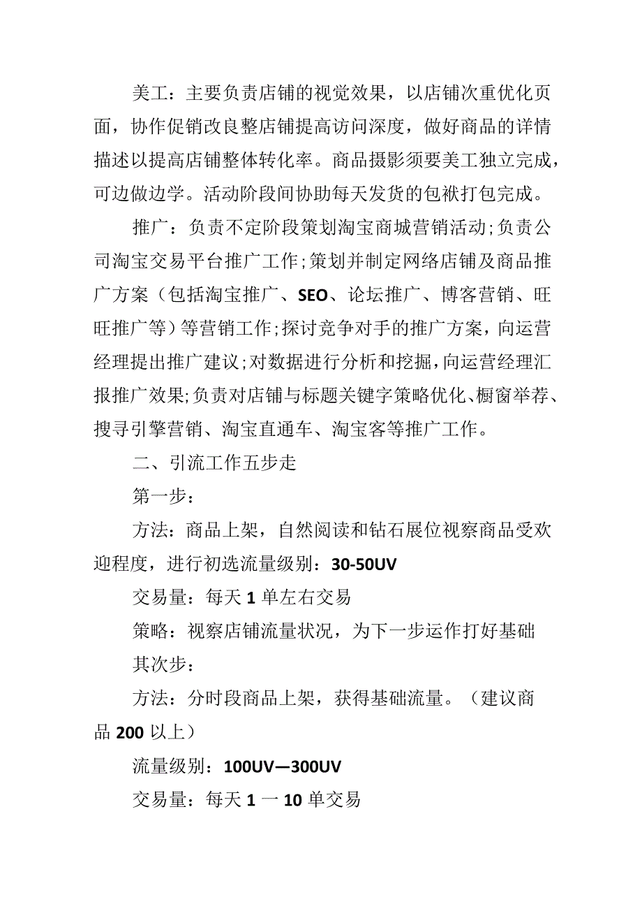 2024电商运营总监工作计划.docx_第2页
