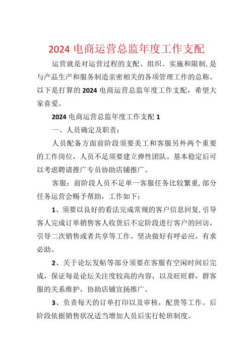2024电商运营总监工作计划.docx