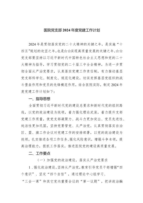 医院党支部2024党建工作计划（共10篇）.docx