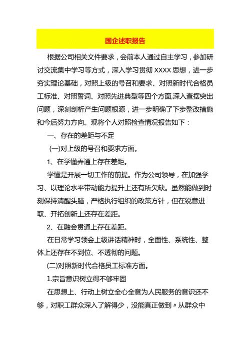 国企述职报告模板.docx