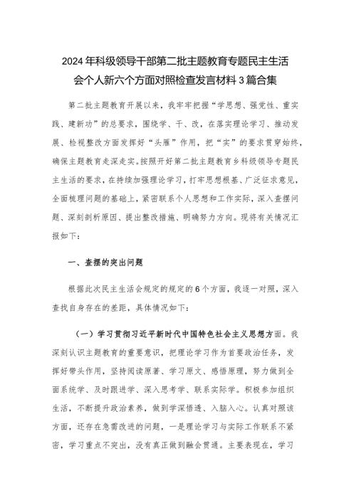 2024年科级领导干部第二批主题教育专题民主生活会个人新六个方面对照检查发言材料3篇合集.docx