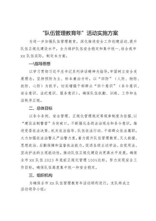 “队伍管理教育年”活动实施方案.docx