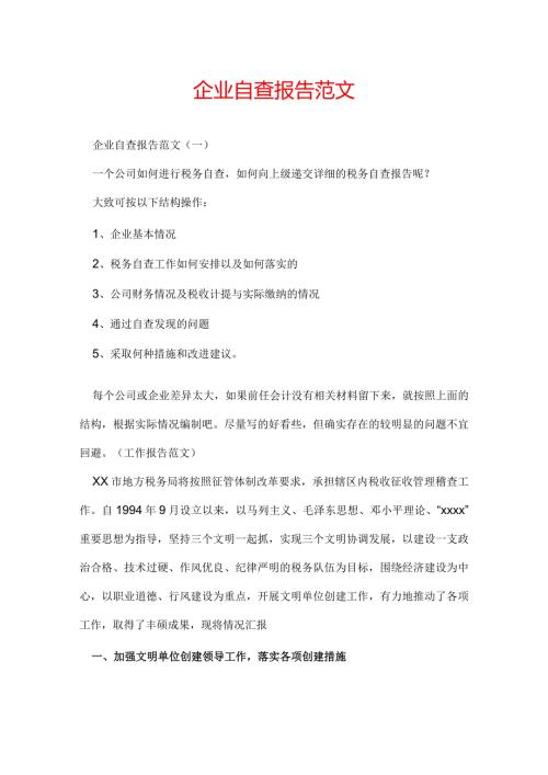 企业自查报告范文.docx