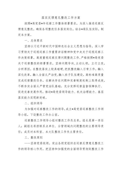 落实反馈意见整改工作方案.docx