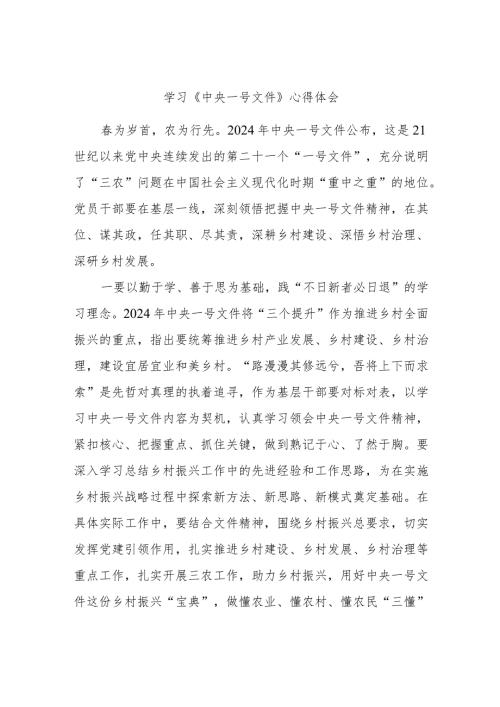 学习《中央一号文件》心得体会.docx