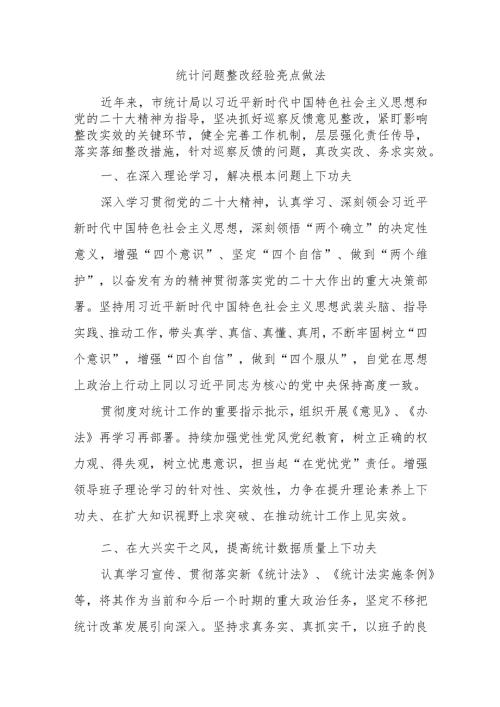 统计问题整改经验亮点做法.docx