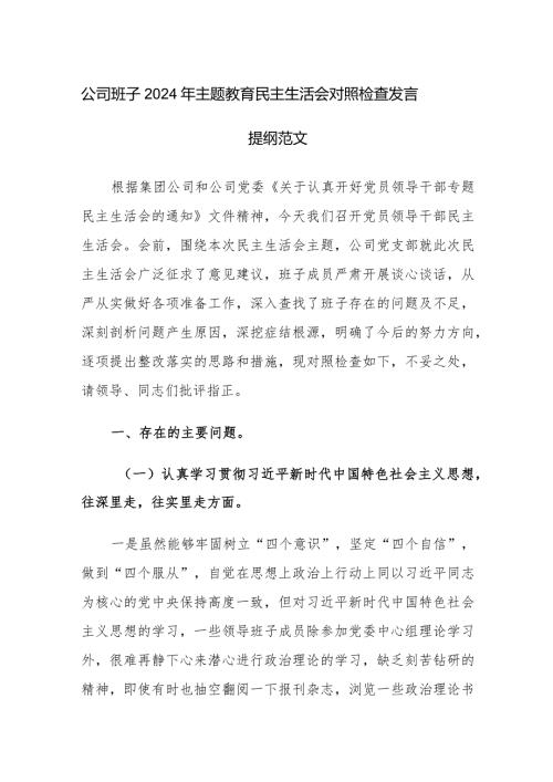 公司班子2024年主题教育民主生活会对照检查发言提纲范文.docx