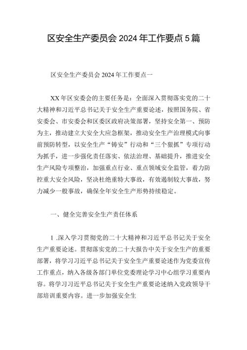 区安全生产委员会2024年工作要点5篇(1).docx