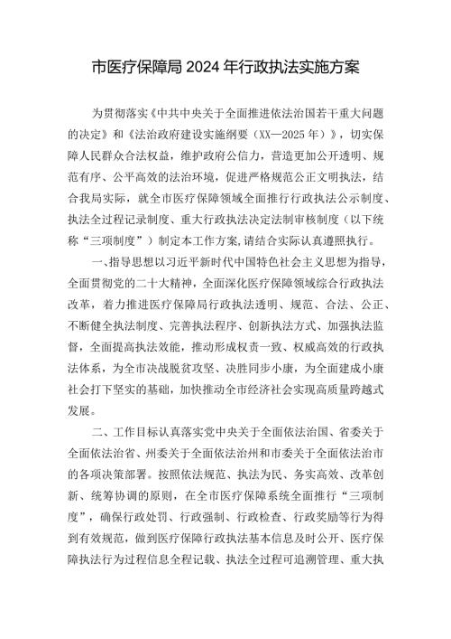 市医疗保障局2024年行政执法实施方案.docx