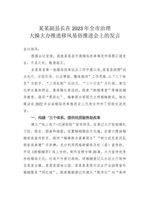 某某副县长在2023年全市治理大操大办推进移风易俗推进会上的发言(1).docx