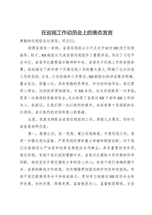 在巡视工作动员会上的表态发言.docx
