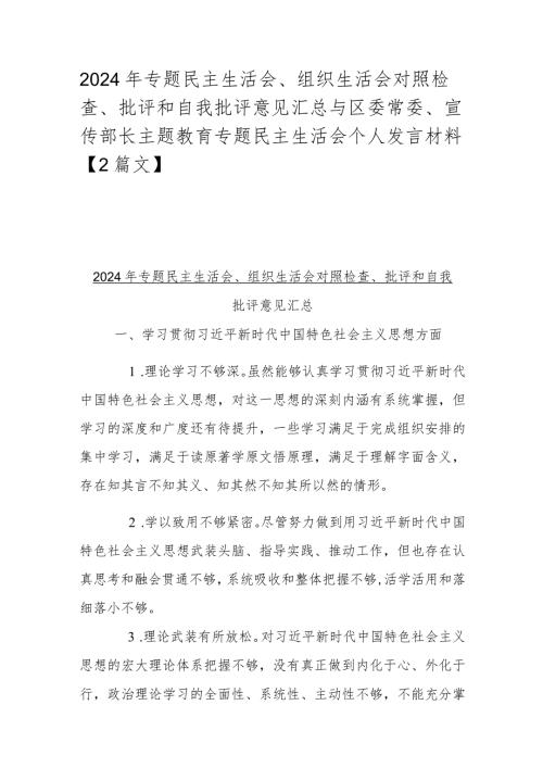 2024年专题民主生活会、组织生活会对照检查、批评和自我批评意见汇总与区委常委、宣传部长主题教育专题民主生活会个人发言材料【2篇文】.docx