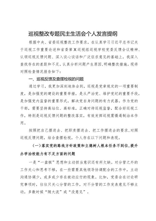 学校纪委书记巡视整改专题民主生活会个人发言提纲(3).docx