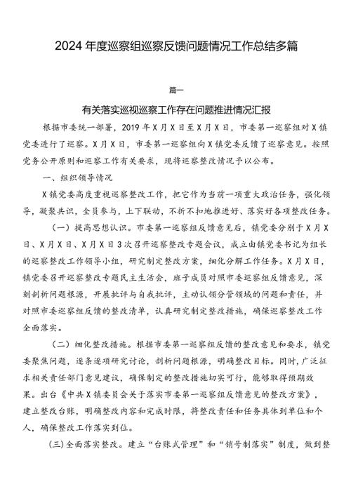 2024巡察组巡察反馈问题情况工作总结多篇.docx
