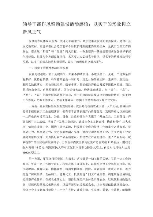 领导干部作风整顿建设活动感悟：以实干的形象树立新风正气.docx