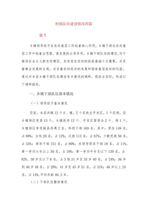 村级队伍建设情况四篇.docx