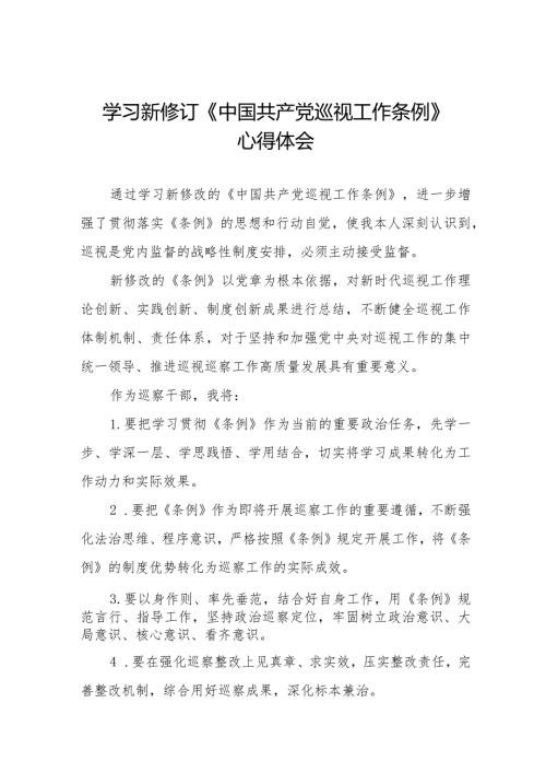 七篇学习2024版新修订中国共产党巡视工作条例心得体会交流发言.docx