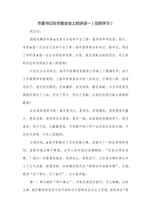 市委书记在市委全会上的讲话一.docx