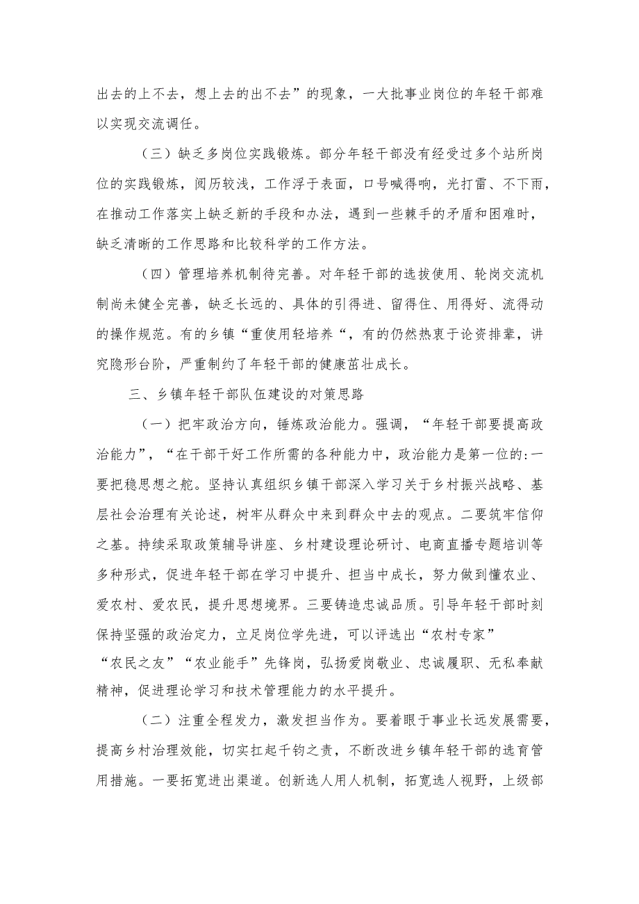 加强乡镇年轻干部队伍建设调研.docx_第2页