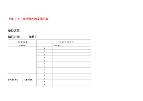 上年（次)审计整改落实情况表.docx