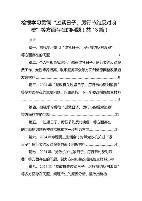 2024检视学习贯彻“过紧日子、厉行节约反对浪费”等方面存在的问题13篇（完整版）.docx