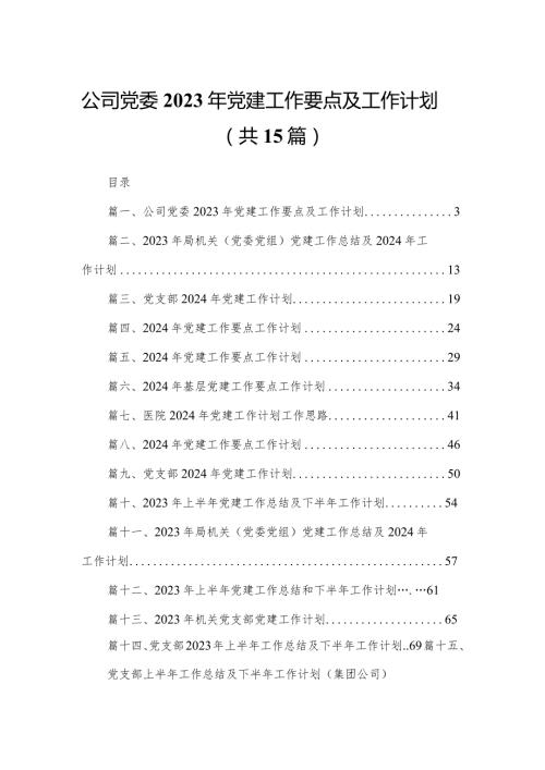 公司党委2023年党建工作要点及工作计划（共15篇）.docx