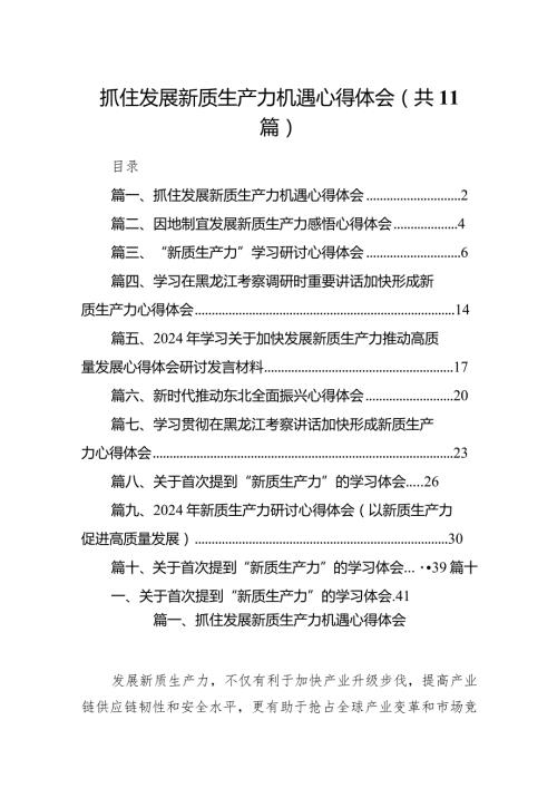 （11篇）抓住发展新质生产力机遇心得体会详细版.docx
