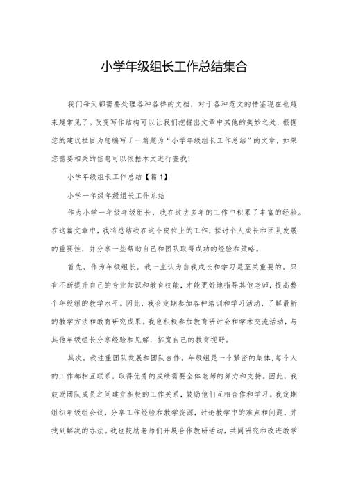 小级组长工作总结集合.docx