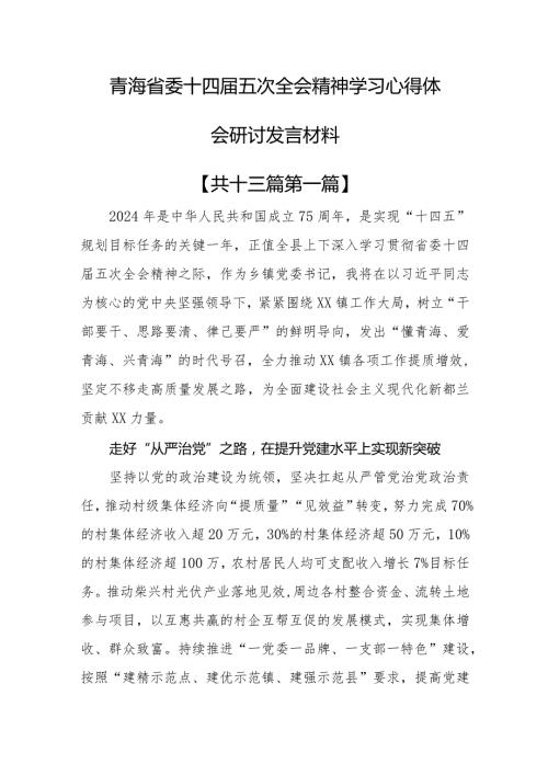 （13篇）青海省委十四五次全会精神学习心得体会研讨发言材料.docx