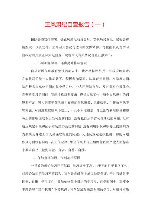 正风肃纪自查报告.docx