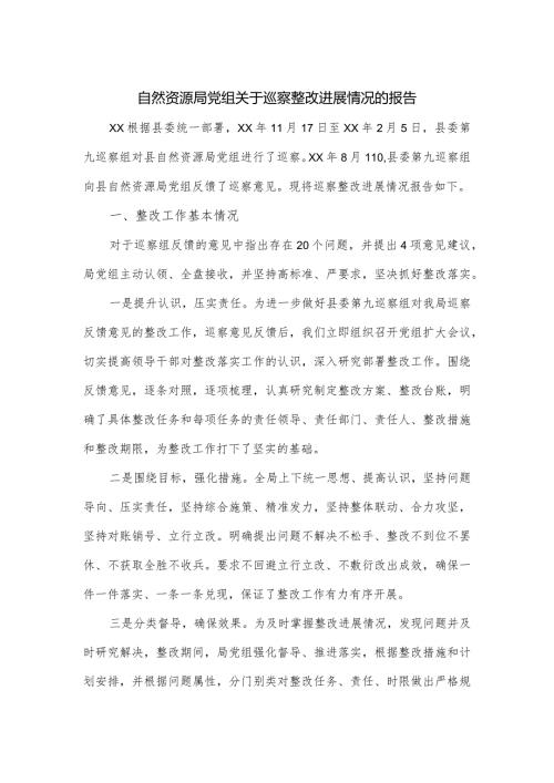自然资源局党组关于巡察整改进展情况的报告.docx
