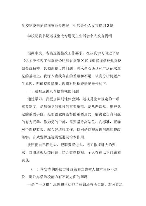 学校纪委书记巡视整改专题民主生活会个人发言提纲2篇.docx