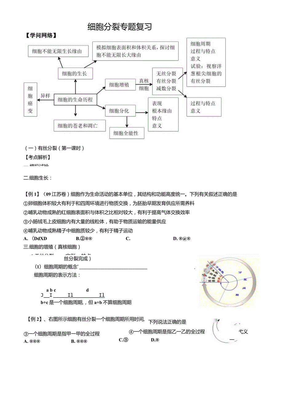 2024细胞分裂一轮复习学案含答案.docx_第1页