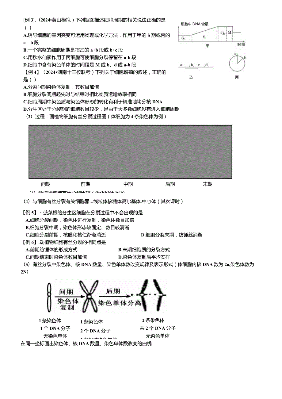 2024细胞分裂一轮复习学案含答案.docx_第2页