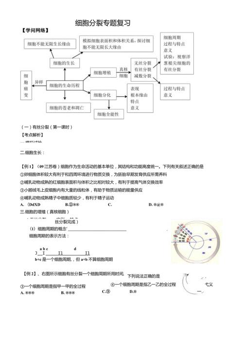 2024细胞分裂一轮复习学案含答案.docx