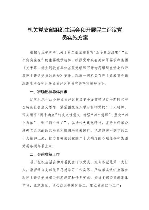 2024机关党支部组织生活会和开展民主评议党员实施方案.docx