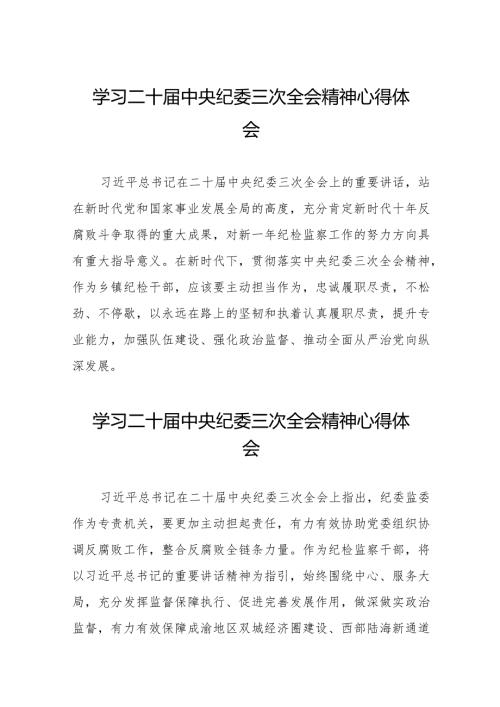 2024年纪检干部关于学习二十中央纪委三次全会精神心得体会十九篇.docx