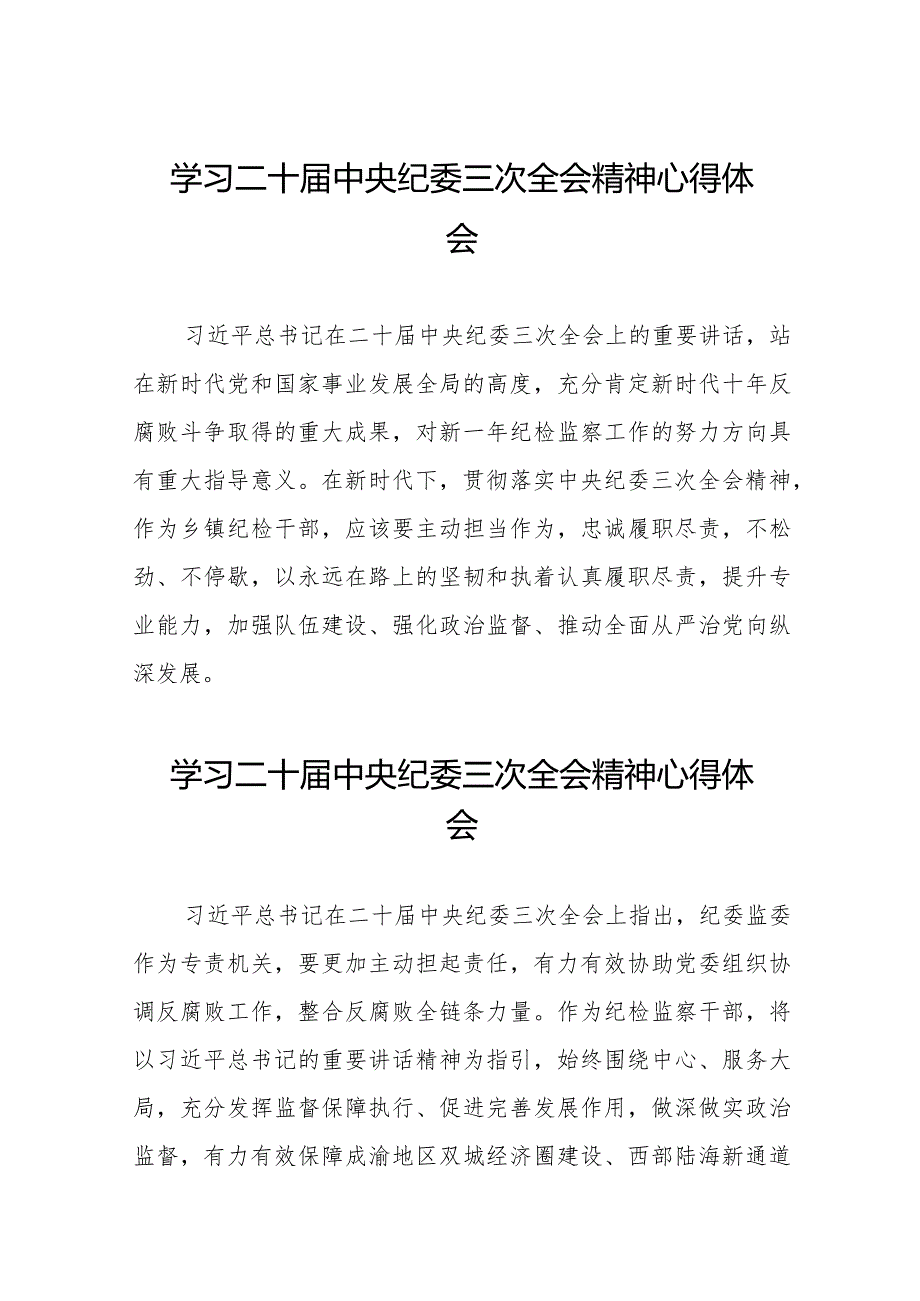 2024年纪检干部关于学习二十中央纪委三次全会精神心得体会十九篇.docx_第1页