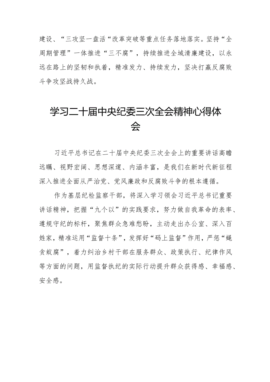 2024年纪检干部关于学习二十中央纪委三次全会精神心得体会十九篇.docx_第2页