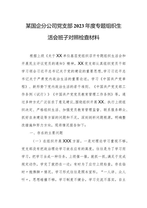 某国企分公司党支部2023专题组织生活会班子对照检查材料.docx