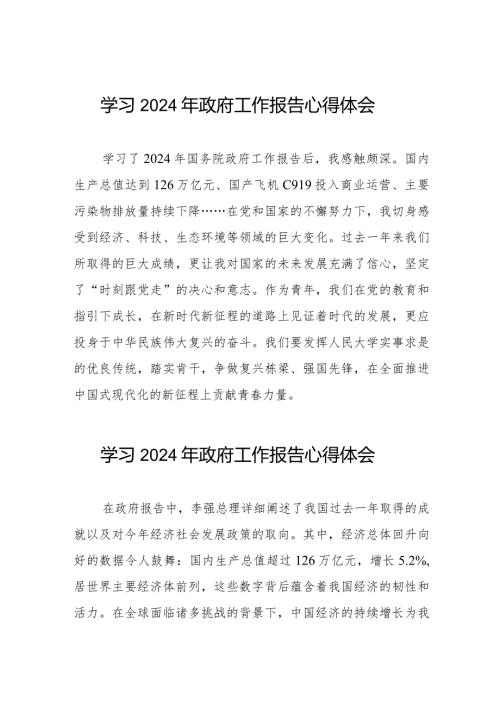 2024年两会《政府工作报告》的心得体会二十篇.docx