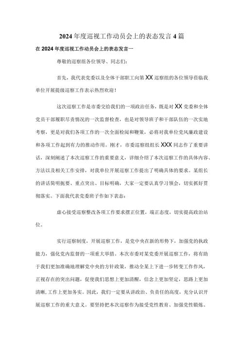 2024巡视工作动员会上的表态发言4篇.docx