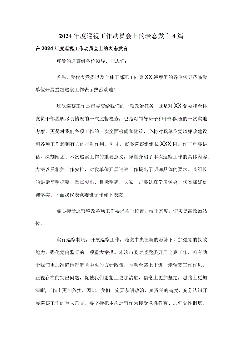 2024巡视工作动员会上的表态发言4篇.docx_第1页